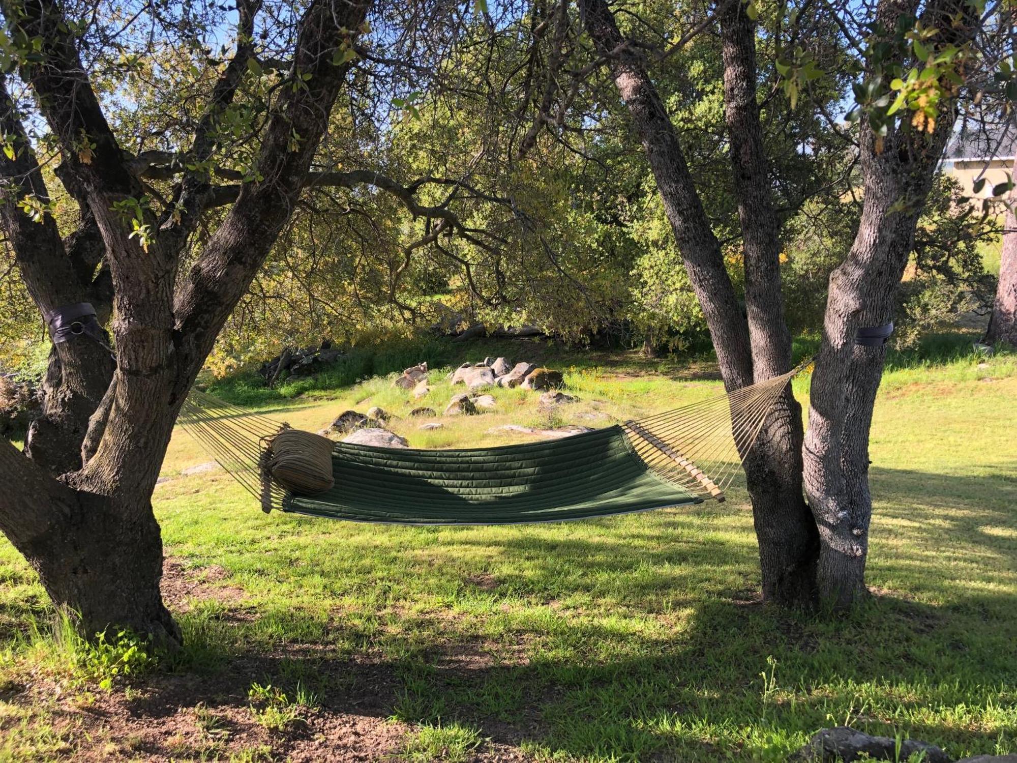 Oak Retreat By Yosemite National Park Apartment Coarsegold Exterior photo